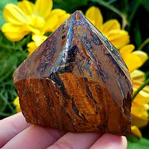 Large Polished Orthoceras Fossil From Morocco | 11.5" X 9" Natural Stone Specimen | Metaphysical Healing Crystal For Root Chakra