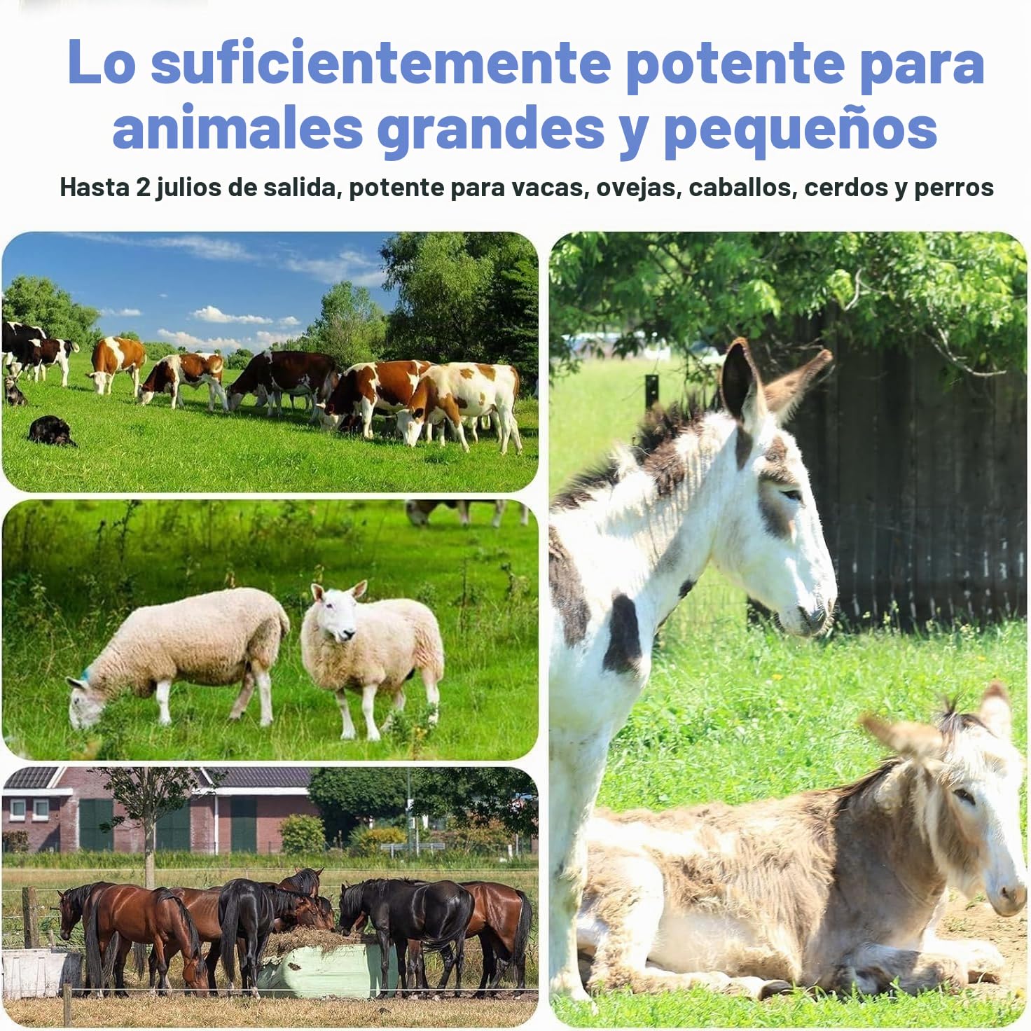 Pastor Electrico 10KM 2J Pastor Eléctrico para vallas Cerca Eléctrica Controlador 3Modos 230V Pastor Eléctrico de Poder Dispositivo Eléctrica Pastor para Granja Jardines Caballos Ganado Ovejas Cerdos