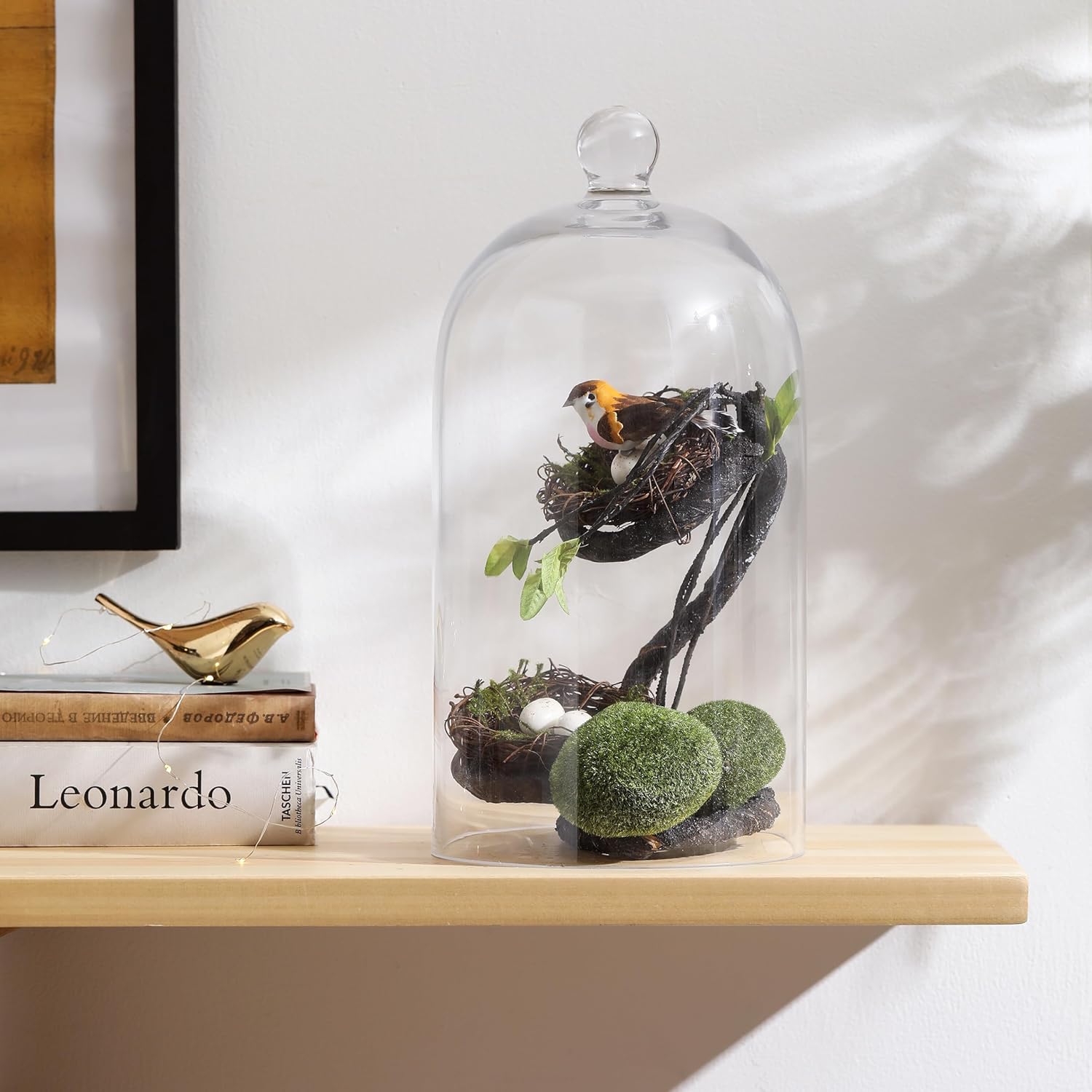 KMwares Clear Glass Display Dome Cloche Bell Jar Tabletop Decorative Case Covered Plants/Food (Medium)