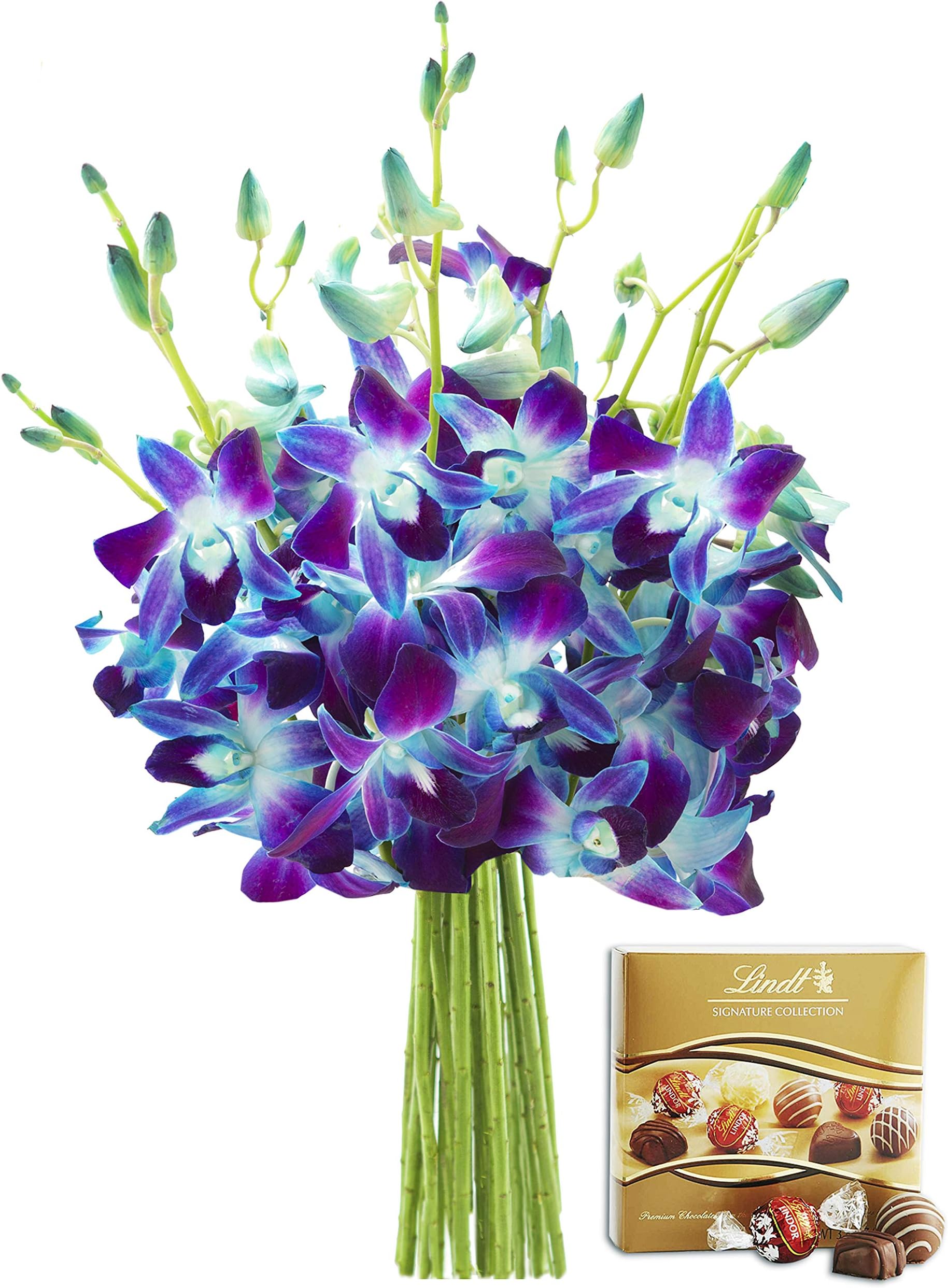 KaBloom Exotic Sapphire Orchid Bouquet of Blue Orchids from Thailand and One Box of Lindt Chocolates