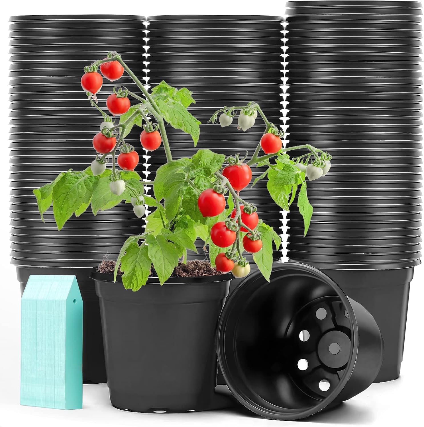 Sfee 100 Pack Plant Nursery Pots 4 inch Plastic Plant Pots, Soft Durable Reusable Seed Starting Pots for Succulents Plants Vegetables Fruits Seedlings Cuttings Transplanting with 100 Plant Labels