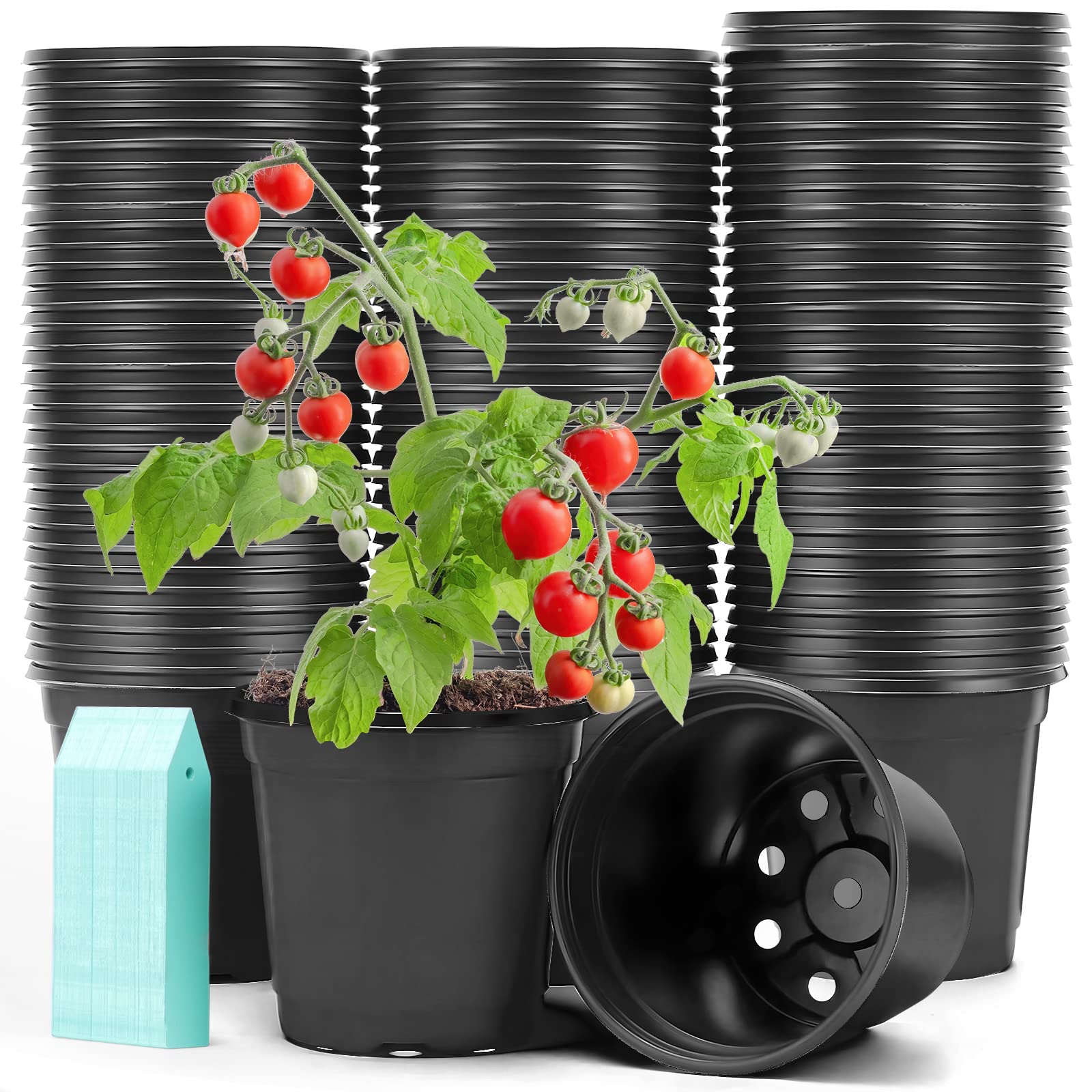 Sfee 100 Pack Plant Nursery Pots 4 inch Plastic Plant Pots, Soft Durable Reusable Seed Starting Pots for Succulents Plants Vegetables Fruits Seedlings Transplanting with 100 Plant Labels (Black)
