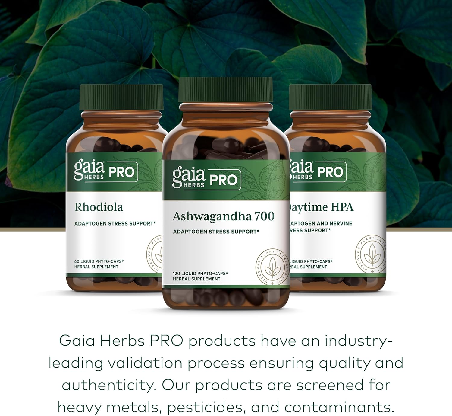 GAIA HERBS PRO Ashwagandha 700 - Healthy Immune Support Supplement* - Single-Herb Formula with Organic Ashwagandha - Vegan, Gluten-Free, Soy-Free - 120 Liquid Phyto-Caps (60 Servings)