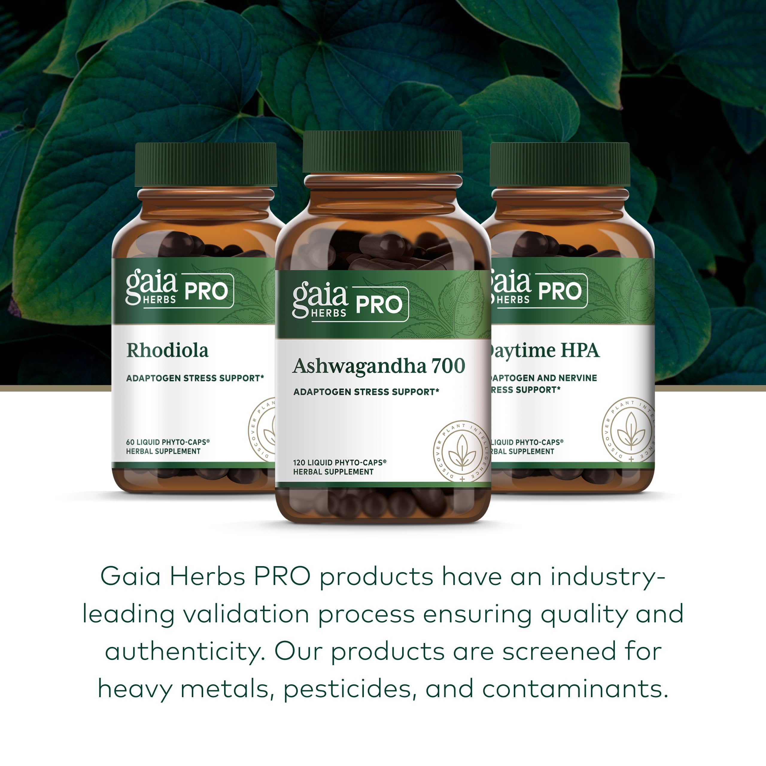 Gaia Herbs PRO Ashwagandha 700, 120 Vegan Capsules, 60 Servings — Amazon image 6