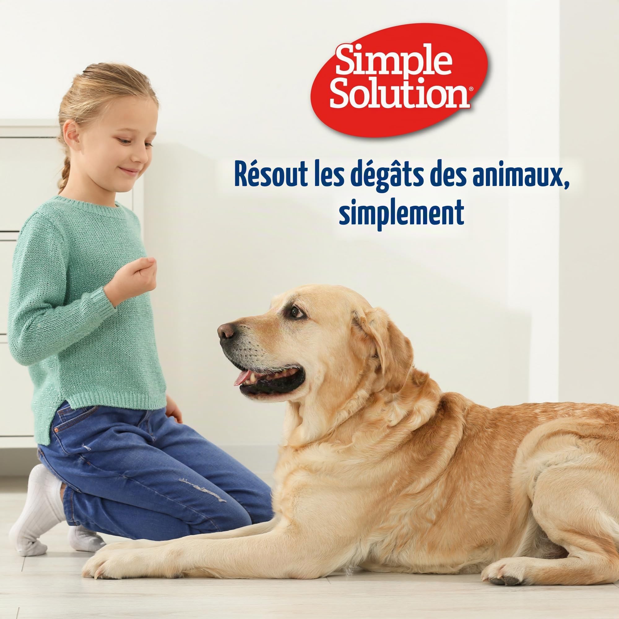Couche jetable simple pour chien - Super absorbante et anti-fuite - Pour femme - Pour la chaleur, la miction excitante, l'incontinence ou la formation de chiot