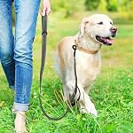 Dog Leash for Medium to Large Dogs with Two Padded Handles 5FT/6FT, Double Handle Dog Leash, Reflective Training Lead, Durable Traffic Leashes(5FT,Grey)