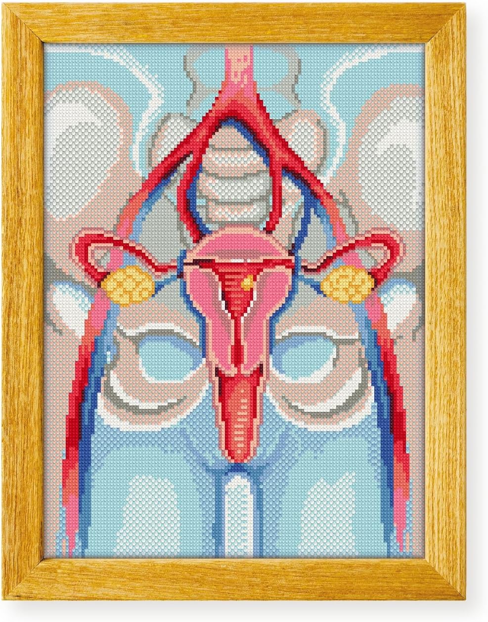 Awesome Pattern Studio Female Reproductive System DS2037, Diamond Painting Kit, Diamond Art Kits for Adults, Full Drill 5D Diamond Dots Kits. All Items Included.