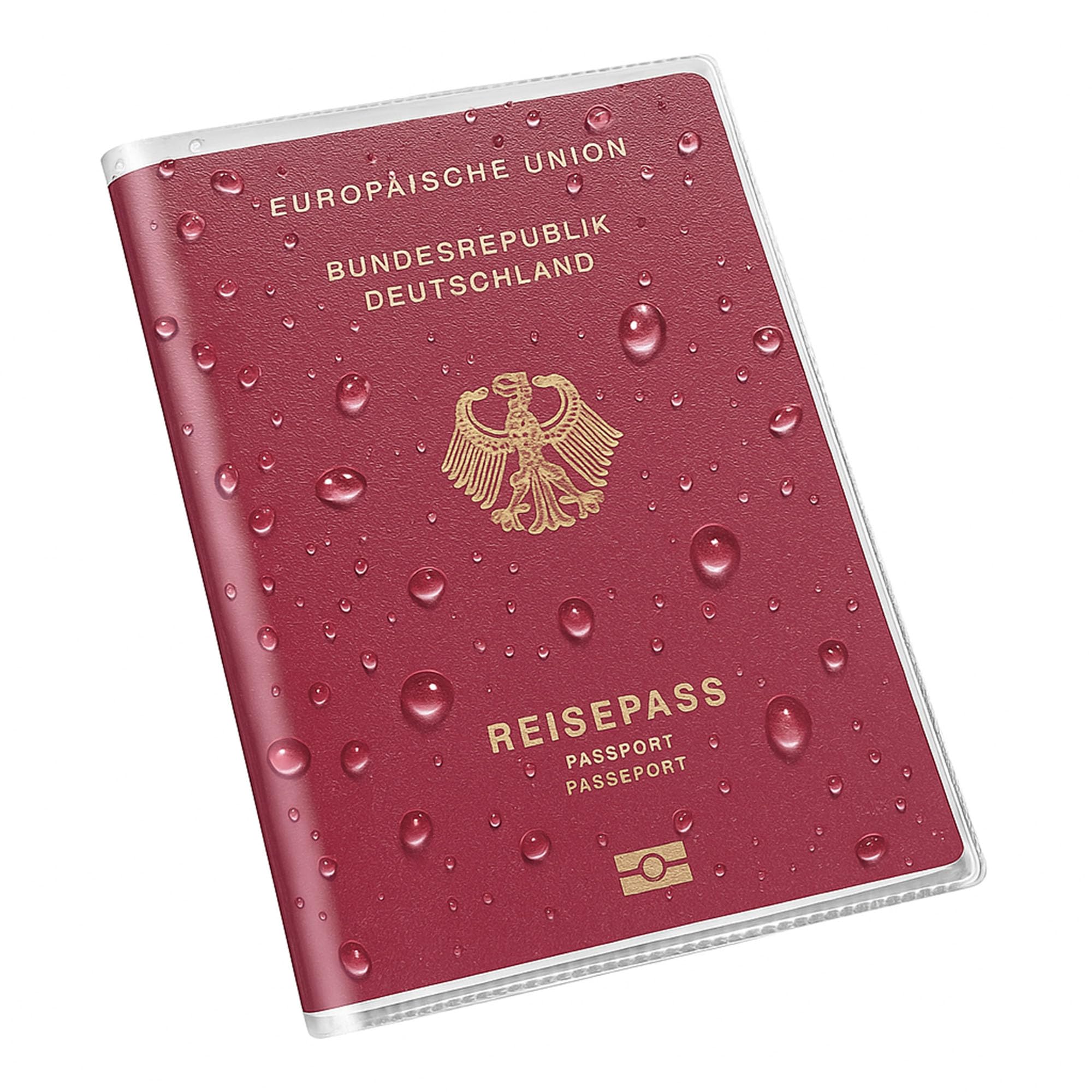 Étui de Protection Transparent pour Passeport, étui de Protection étanche, Pochette Transparente en Vinyle pour Carte d'embarquement et Carte d'identité, Lot de 10