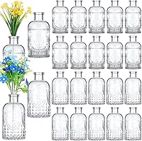 Vista 1 de Juego de 24 jarrones pequeños de vidrio para flores, jarrones transparentes para centros de mesa, mini jarrones, mini botellas vintage para boda