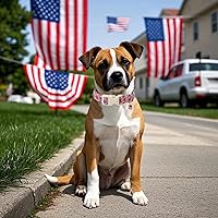 Vista 122 de DOGWONG Collar de perro de San Valentín, collar de perro con estampado de corazones para perros grandes, lindos collares de primavera, hembra