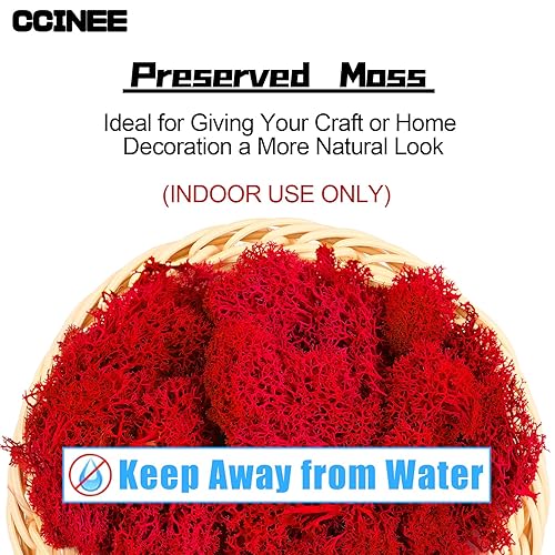 Miniatura 2 de CCINEE Musgo preservado, musgo de reno falso de 4 onzas para plantas en maceta para manualidades, decoración floral de pared, centros de mesa de