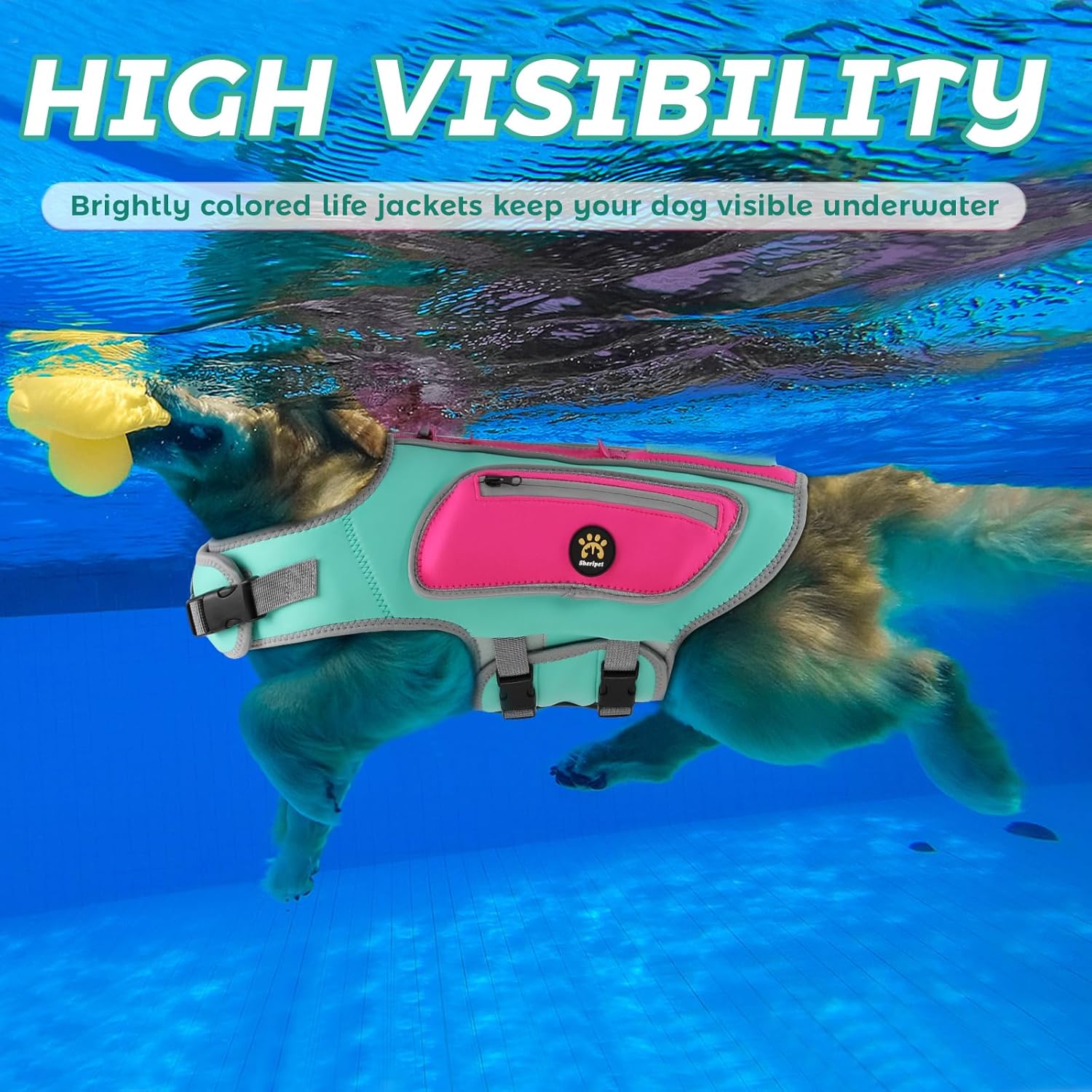 Dog Life Jacket, Cute Shark Dog Life Vest for Swimming Boating with Superior Buoyancy and Rescue Handle, Adjustable Puppy Swim Floating Vest for Small Medium Large Dogs (Turquoise, Large)