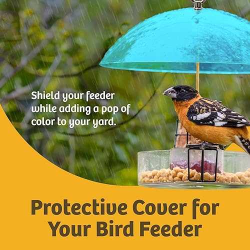Miniatura 2 de Birds Choice DOME Domo protector, cubierta protectora para comederos colgantes de pájaros, 10 pulgadas, transparente