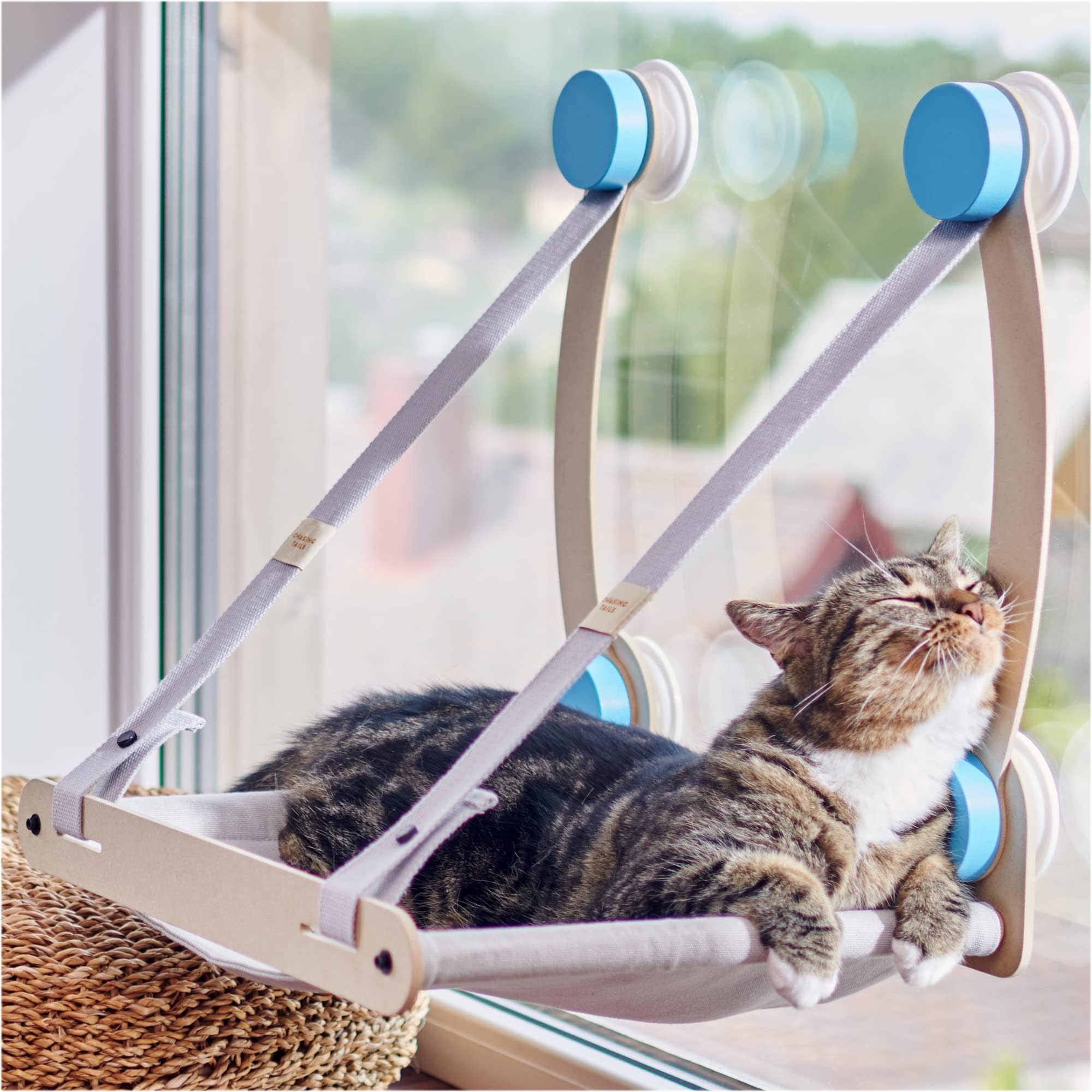 Cat Window Perch for Indoor Cats - Window Cat Perch, Window Perch for Cats Inside Window Cat Bed, Suction Cup Cat Bed Window, Cat Hammock for Window, Cat Window Seat, Cat Window Hammock