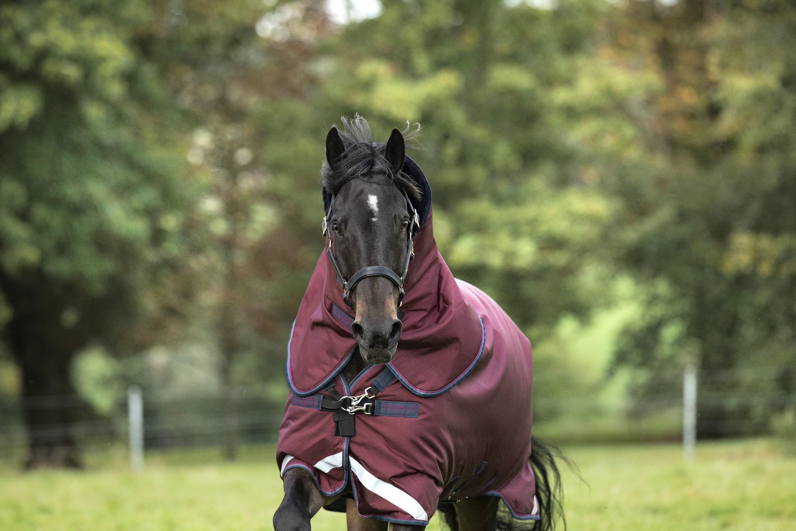 Horseware Rambo Original Hood Lite 0 g évite la crinière mouillée au pré