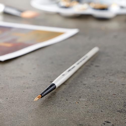 Paquete de 12: Cepillo redondo de mango corto Simply Simmons