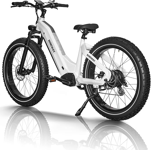 Himiway Zebra StepThru Bicicletta Elettrica per Adulto 96128km