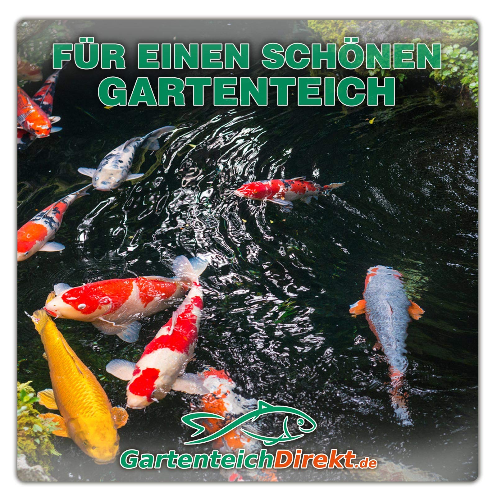 Teichklar Teichklärer für den Gartenteich 5 Liter (Klärer gegen grünes und trübes Teichwasser, klares Wasser im Gartenteich)