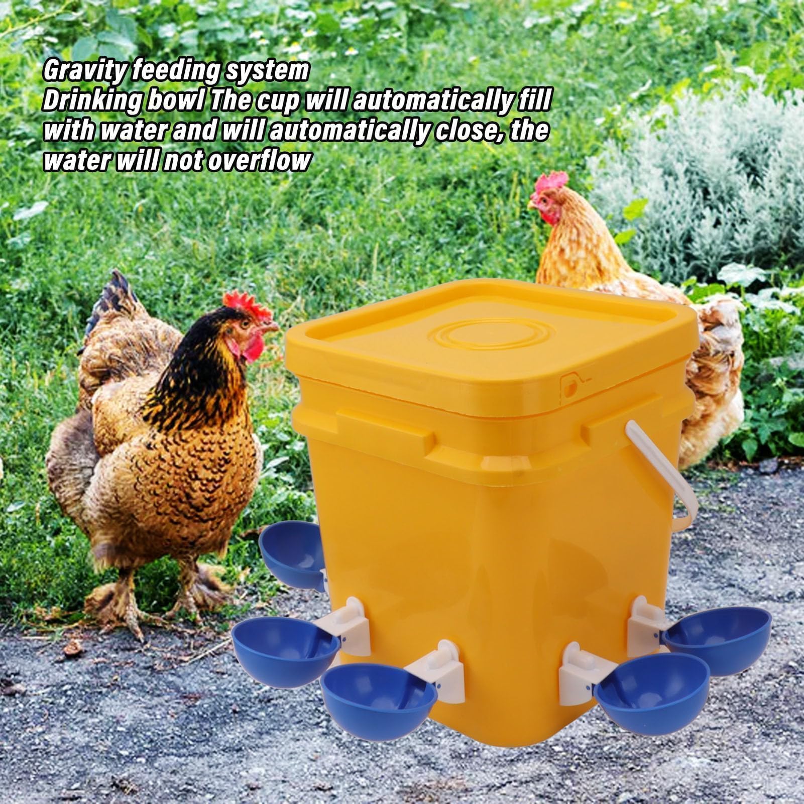 Abbeveratoio Automatico per Pollo Gallinella Fornisce Abbeveratoio per Pollo Mangiatoia e Abbeveratoio per Pollo da 12 Litri per Pollame (Secchio + grande ciotola blu + viti nere)