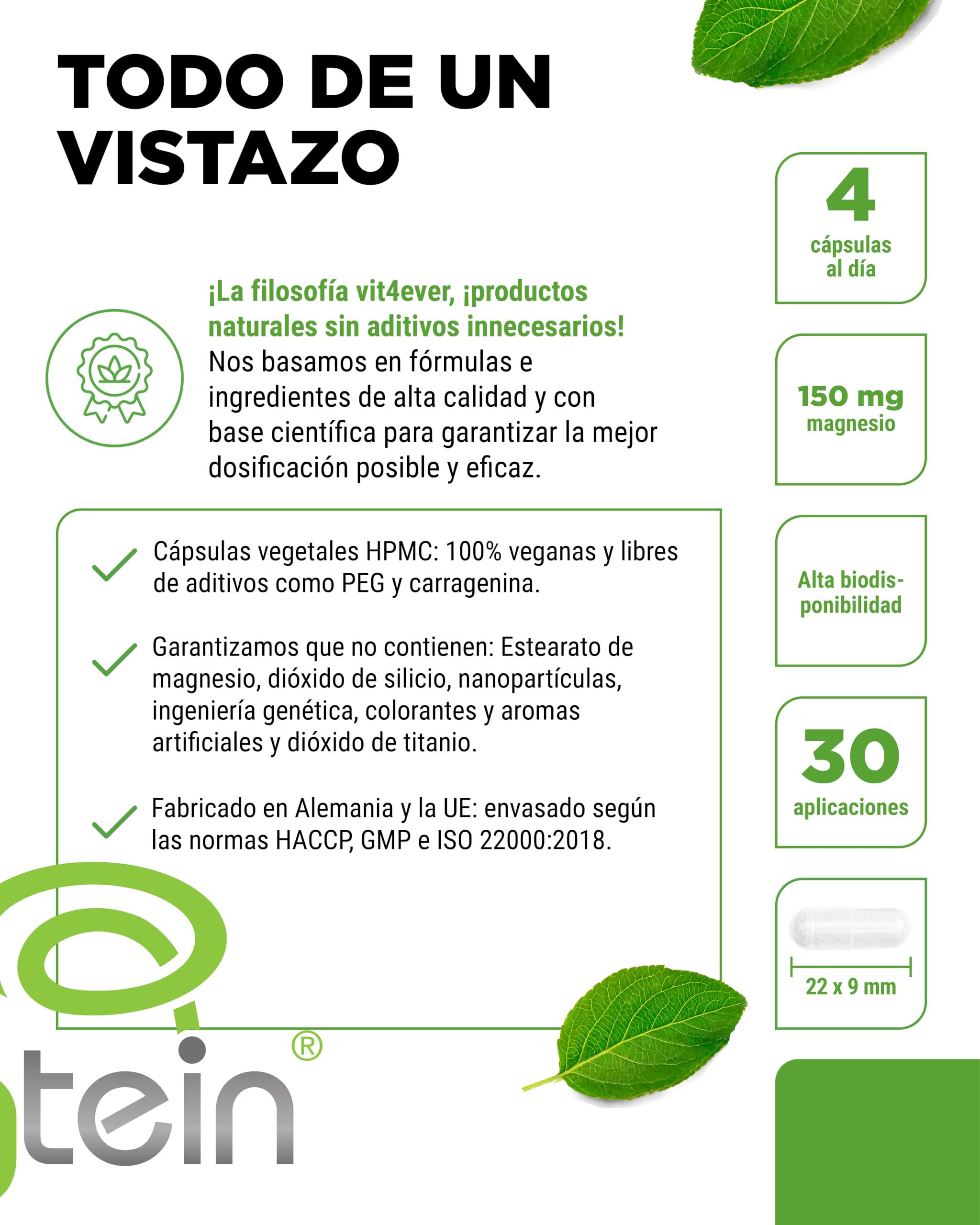 vit4ever Magtein® Magnesio L-Treonato 120 Cápsulas - Alta Dosificación con 2000 mg de Magnesio L-Treonato puro por Día - Vegano