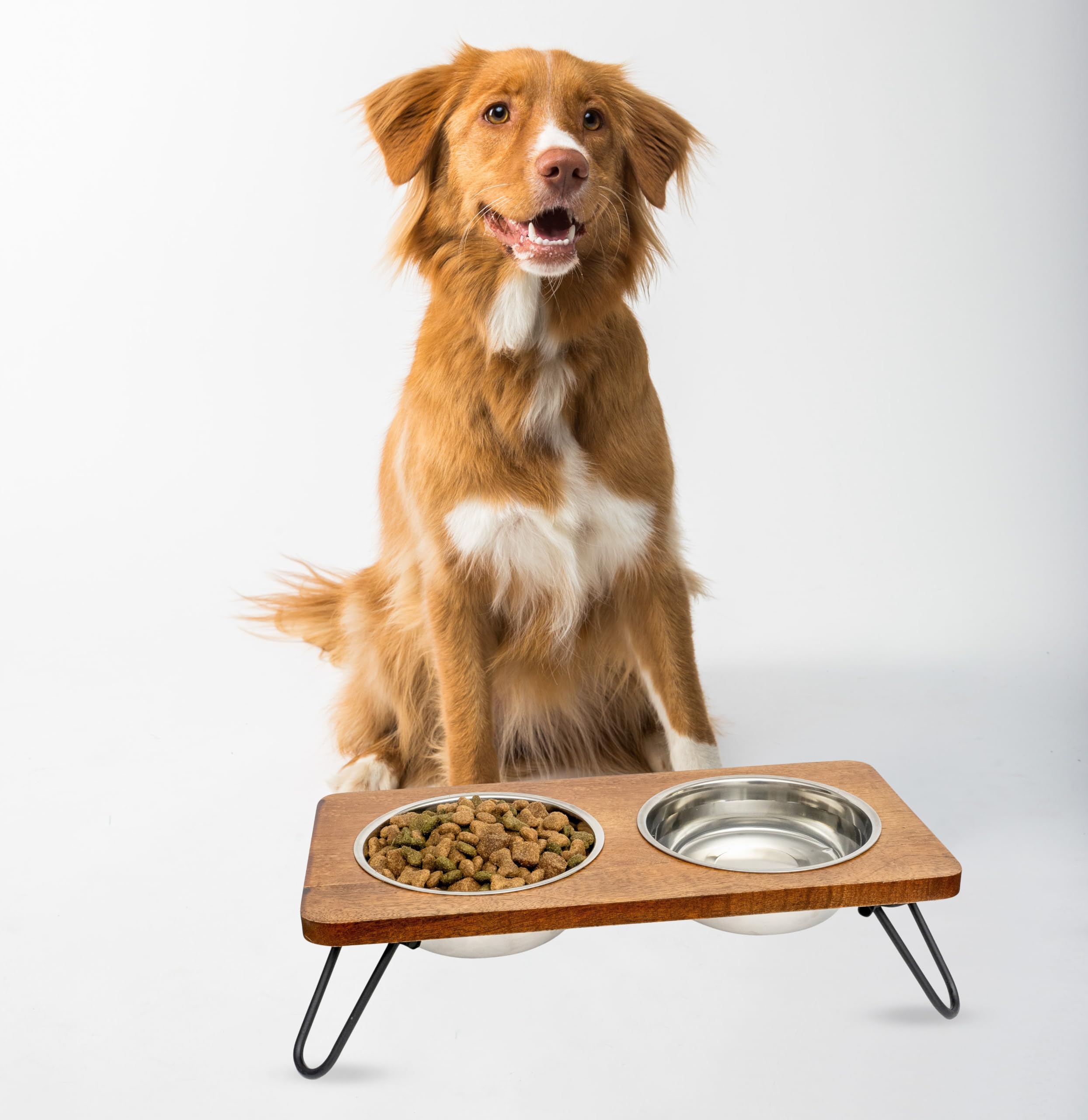 Fuzzl Gamelle surélevée pour chien avec support en bois dur élégant – Acier inoxydable ultra propre – Bol surélevé pour une meilleure posture et digestion – Gamelle d'eau polyvalente pour chien pour