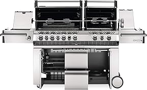 Best Grills 6 Burner Gas In 2025 Has Been Checked 11 81SydDA2k7L. AC SL289