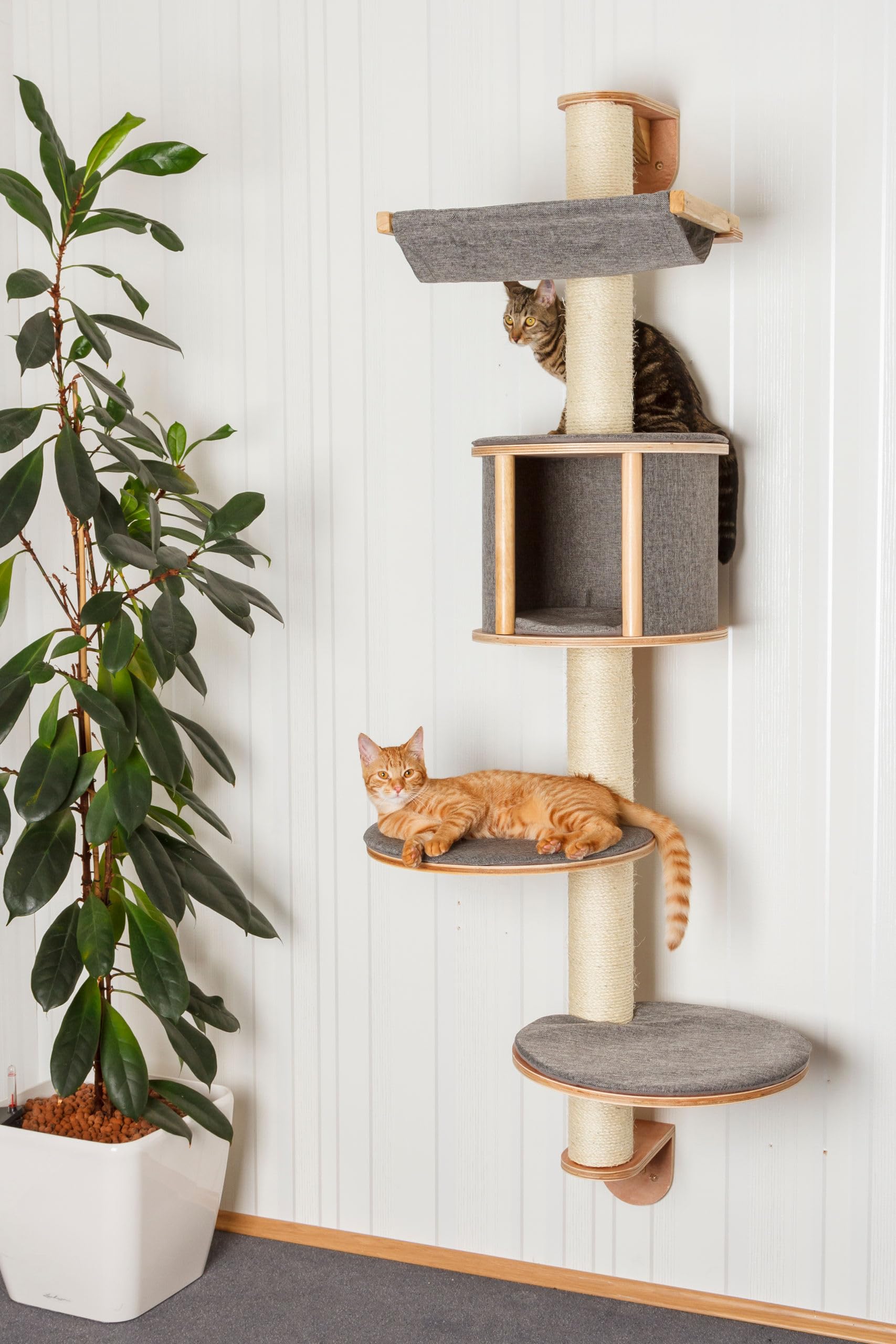 Kerbl Pet Rascador de Pared Dolomit Tofana, Gris, 168cm, Madera, sisal, para Gatos, cojín extraíble y Acolchado