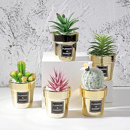 Amazon 小型 フェイクグリーン サボテン 多肉植物 アロエフェイクフラワー 日陰や寒さに強い 世話いらず おしゃれ 枯れない プレミアム 土なし 撮影 キッチン 子供部屋 装飾用 披露会 結婚 プレゼント 人工観葉植物 オンライン通販