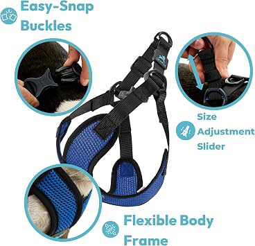 Gooby Comfort X Step in Lite Dog Harness - Choke Free, Escape Free with Light Breathable Mesh - Step in Dog Harness for Small Dogs Only - Quick Release Buckle, Metal D-Rings - Black, X-Small
