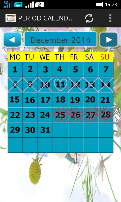 Period Calendar - App on Amazon Appstore