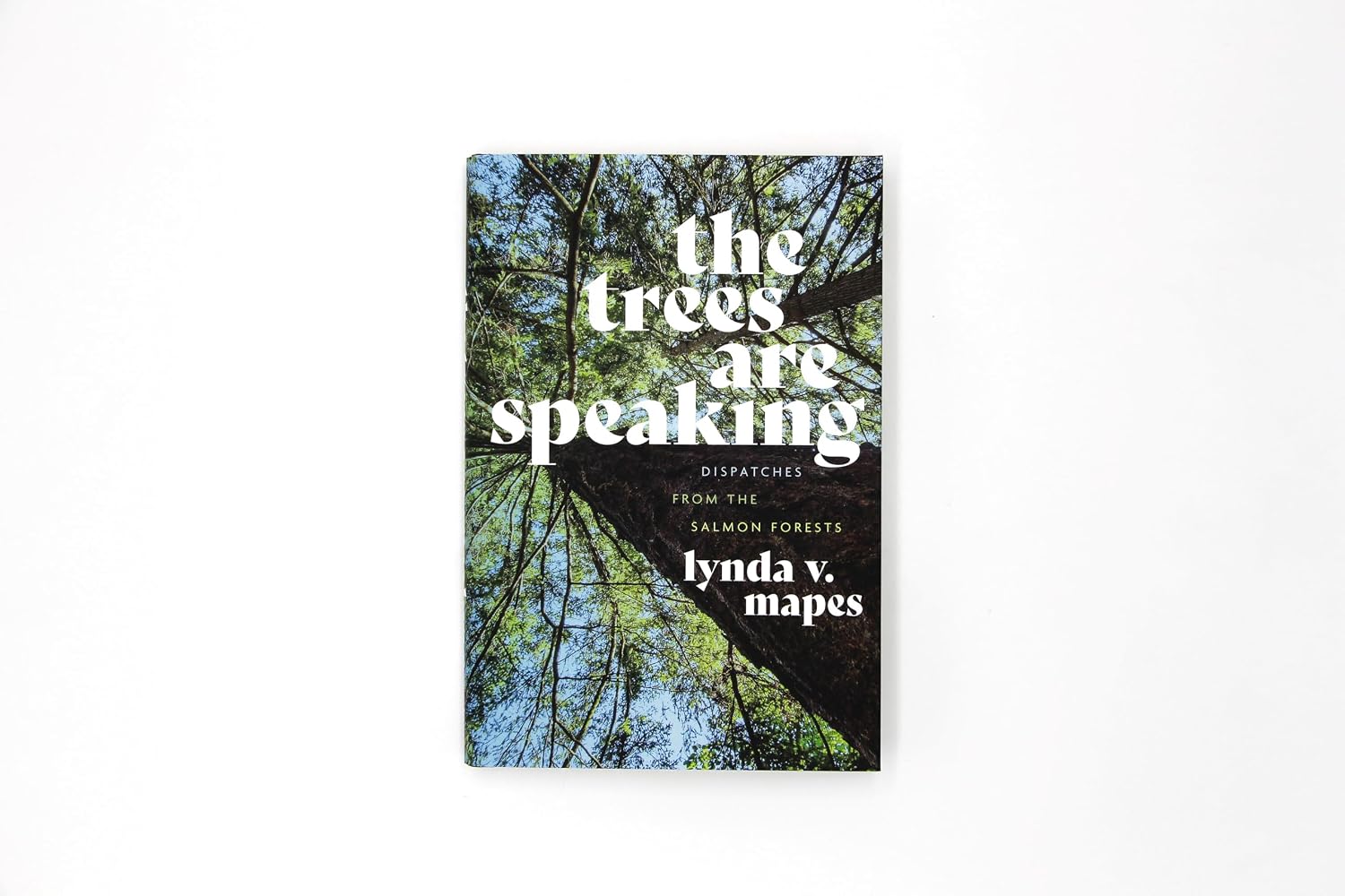 The Trees Are Speaking: Dispatches from the Salmon Forests