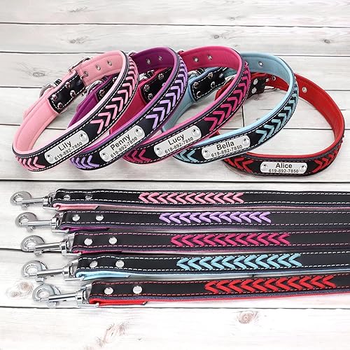 Miniatura 5 de Didog - Collar de cuero para perro con grabado personalizable, para perros pequeños, medianos y grandes, rojo (Red Set)