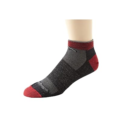 Darn Tough Vermont Merino Wool No Show Mesh Socks Men