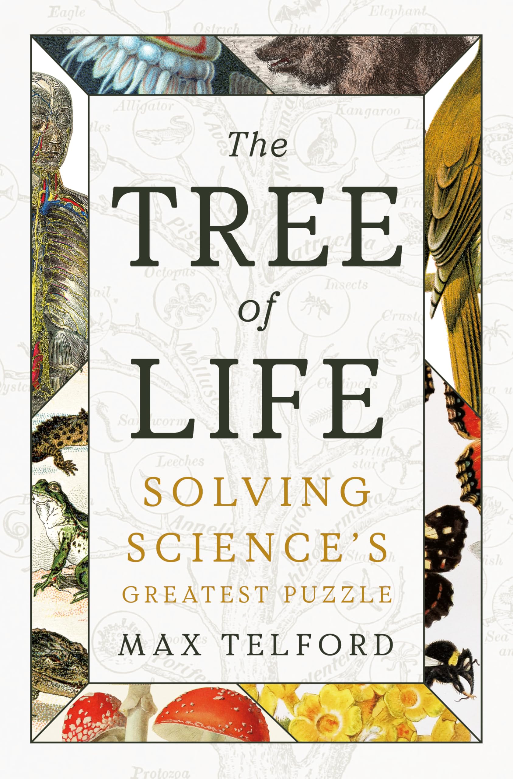 The Tree of Life: Solving Science's Greatest Puzzle