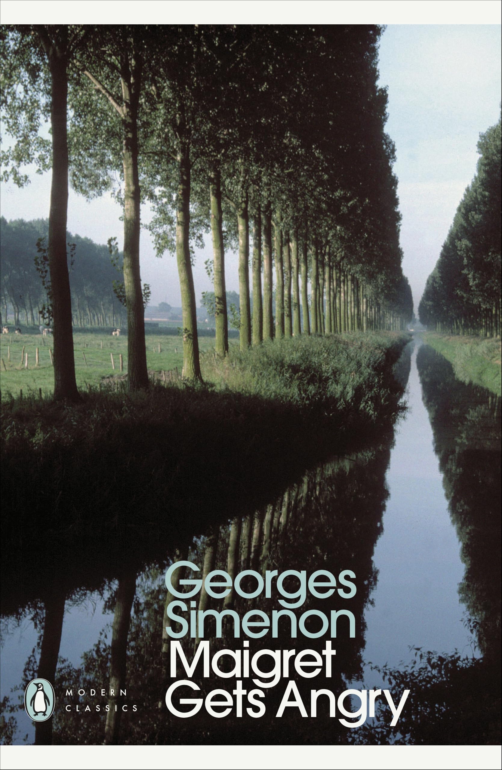 Maigret Gets Angry: Inspector Maigret #26,Georges Simenon, Ros S