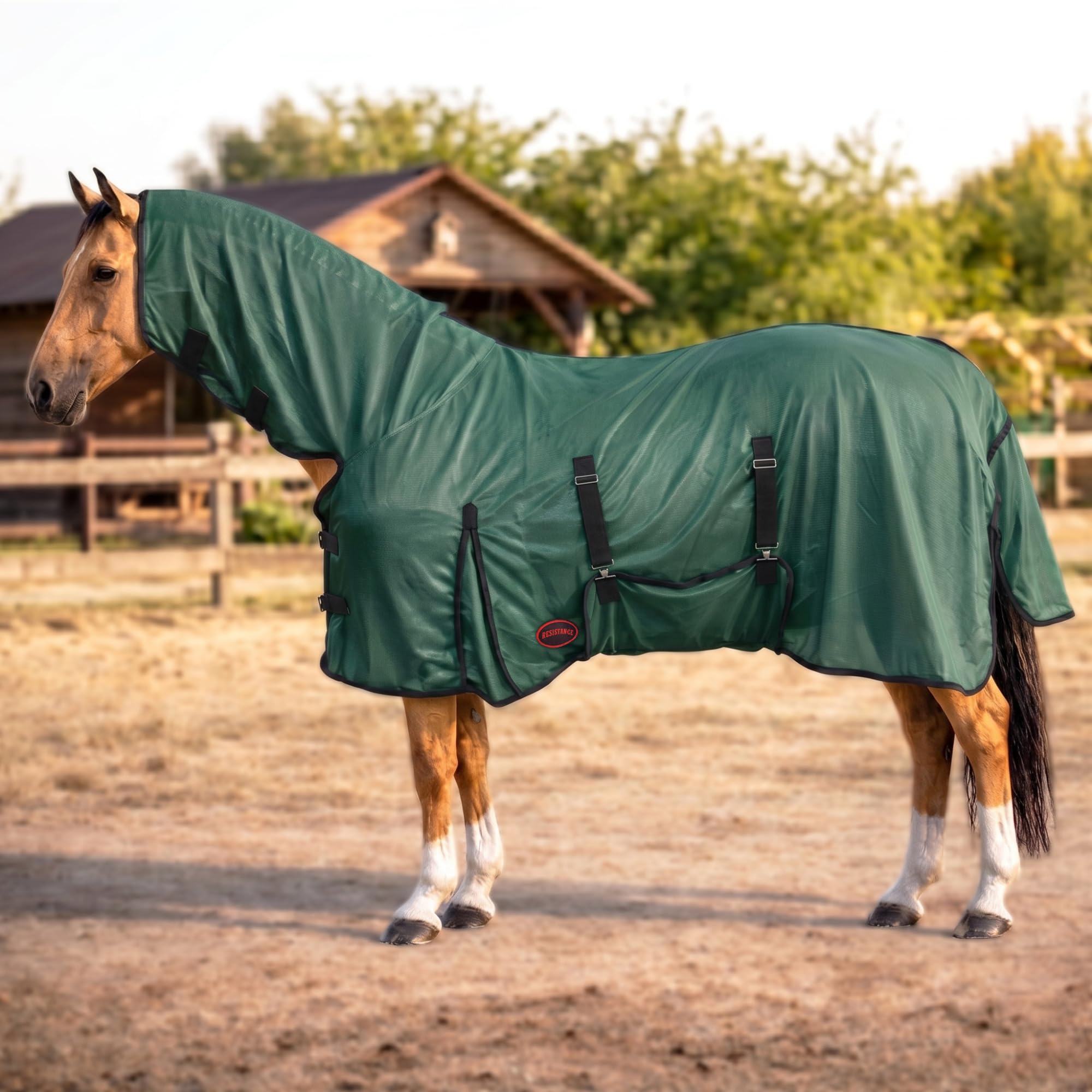 RESISTANCE Sábana para moscas de caballo con cubierta para el cuello y envoltura para el vientre, ligera, transpirable, protección UV, para caballos, color plateado, tamaños de 68 a 82 pulgadas (verde