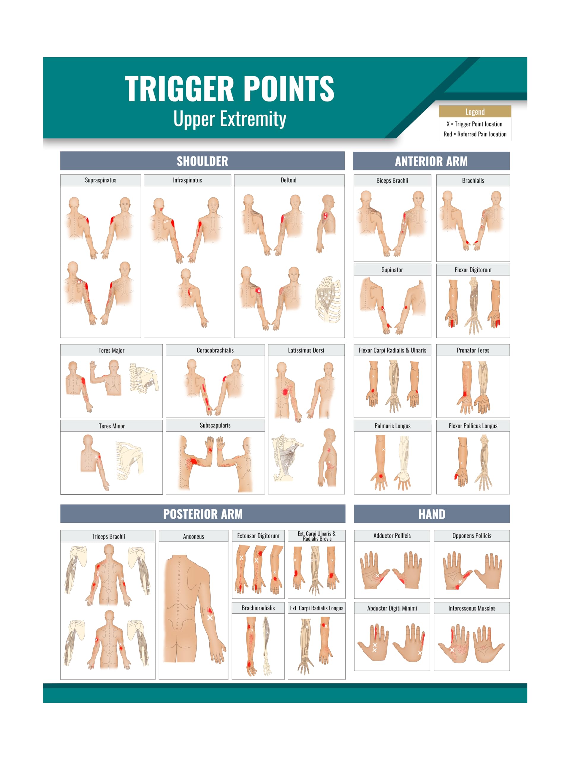 Trigger Point Reference Chart Printable Trigger Point Chart Myofascial Pain: How Trigger Point