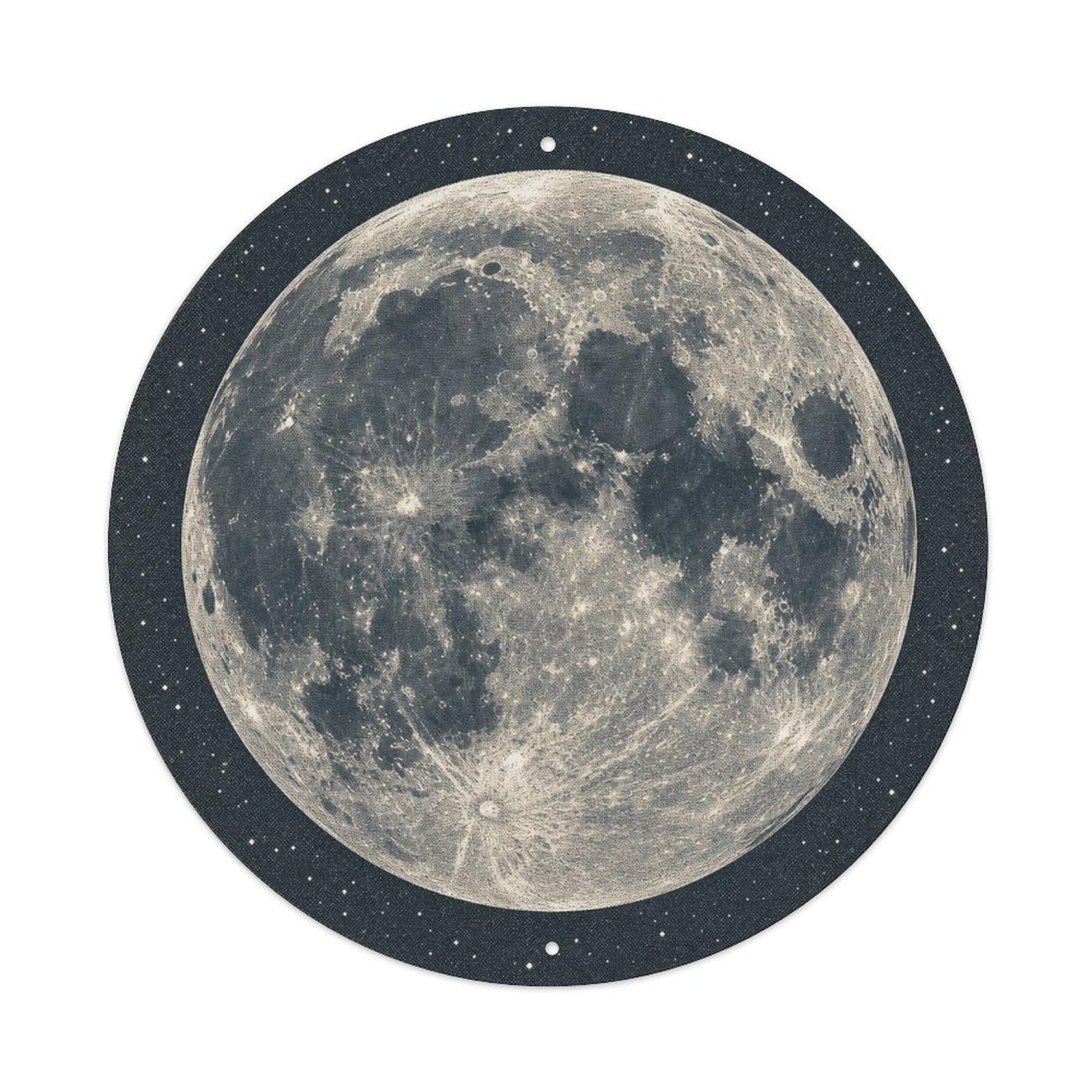 Cosmos Moon Lunar Surface Planetary Orbit Celestial Metal Tin Sign