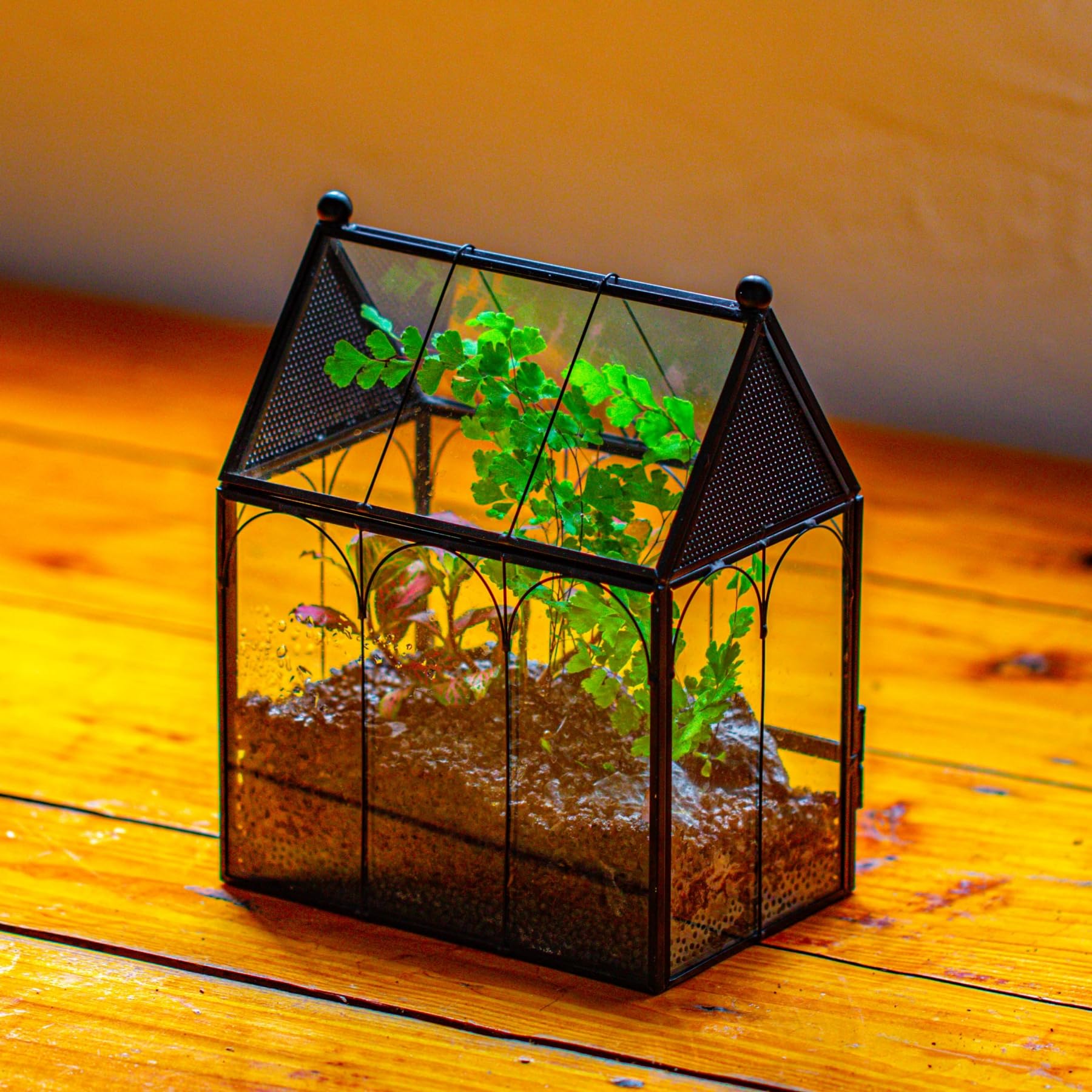 NCYP 14,7x9,6x17,8 cm Petit Enclos en Verre avec Maille pour Araignées, Insectes, Terrarium pour Plantes à Ouverture Frontale en Forme de Maison (Plantes et Accessoires Non Inclus)