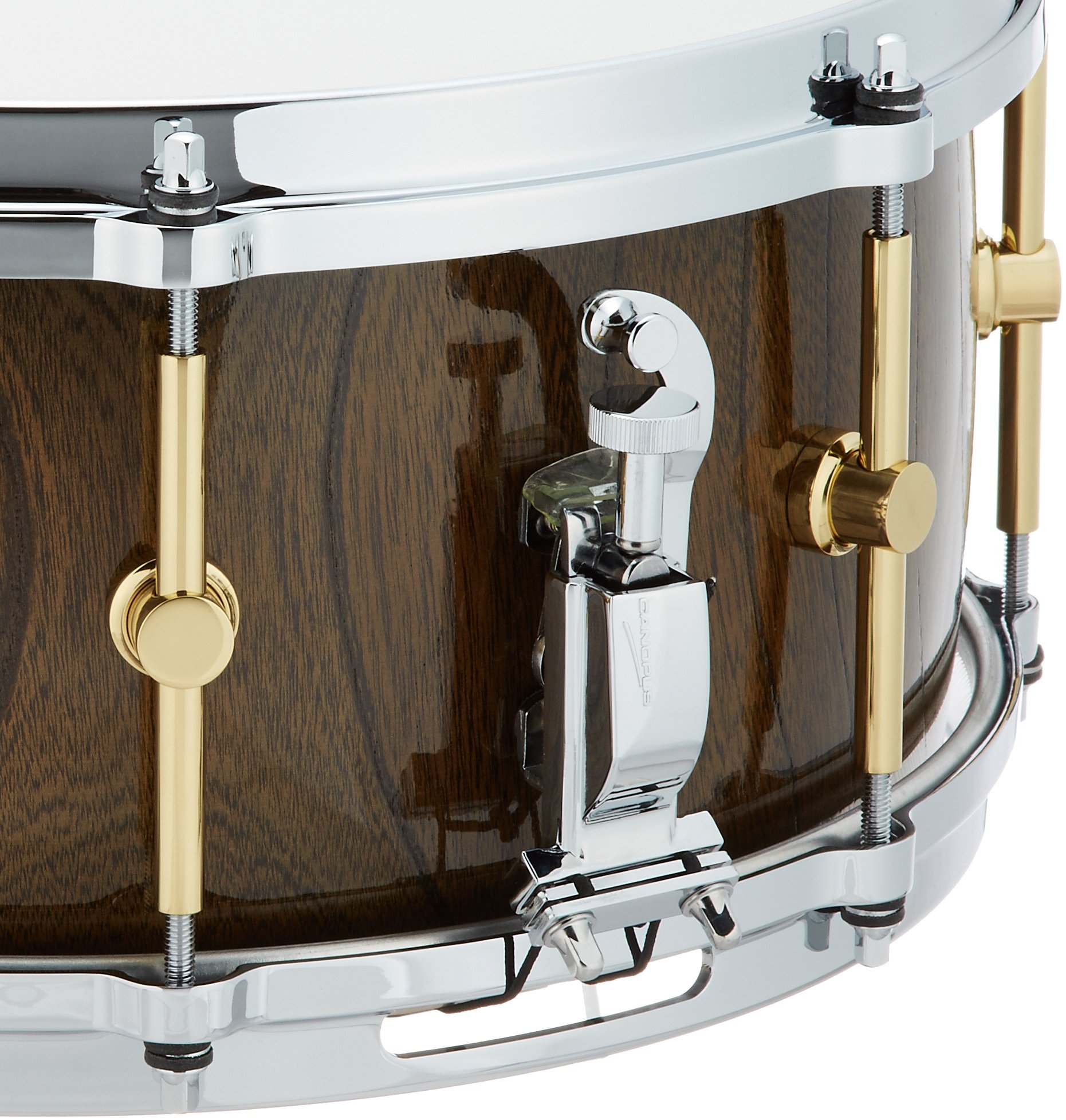 Amazon.co.jp: CANOPUS Zelkova HS-1465 14