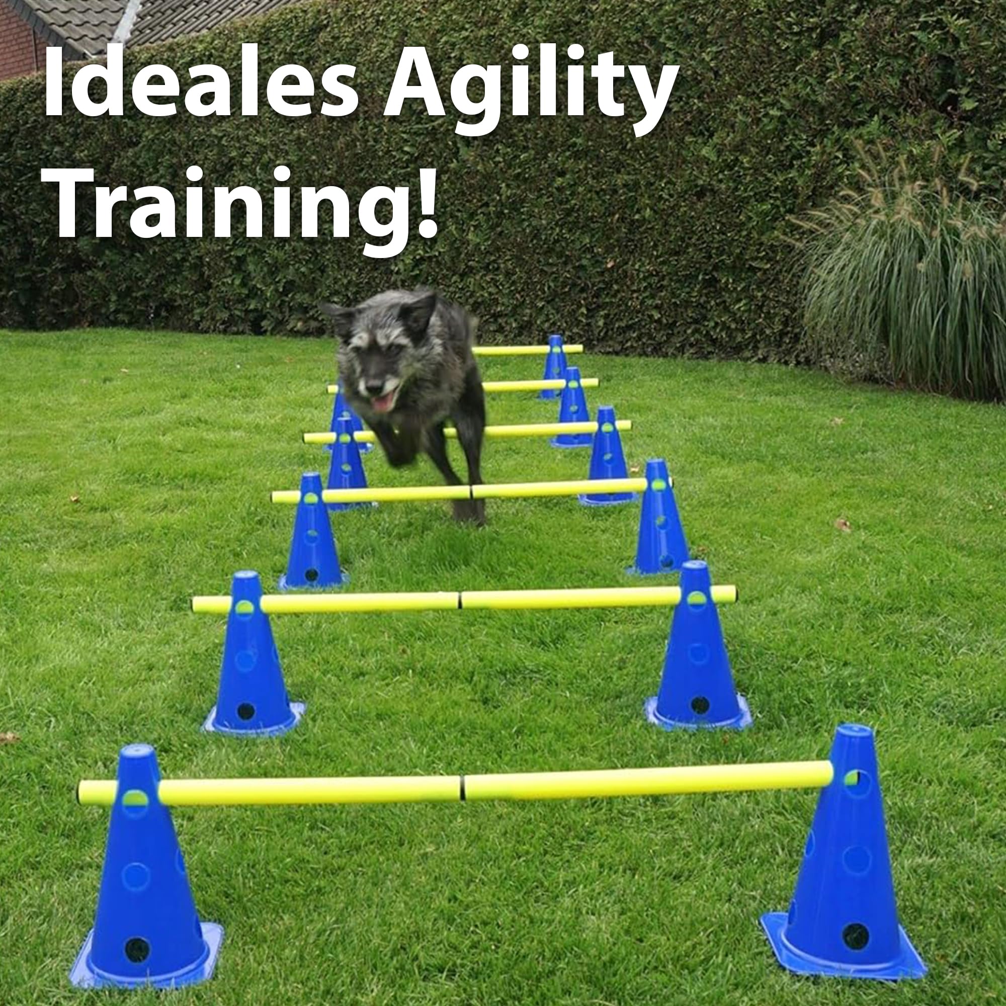 praktisches Steckhürdenset für Fußball, Hundesport, Pferdesport – Ideales Trainingszubehör, Fußballtraining, Pferd und Hunde - Profi Pylonen Set mit Hürden - Hindernisse Kegel