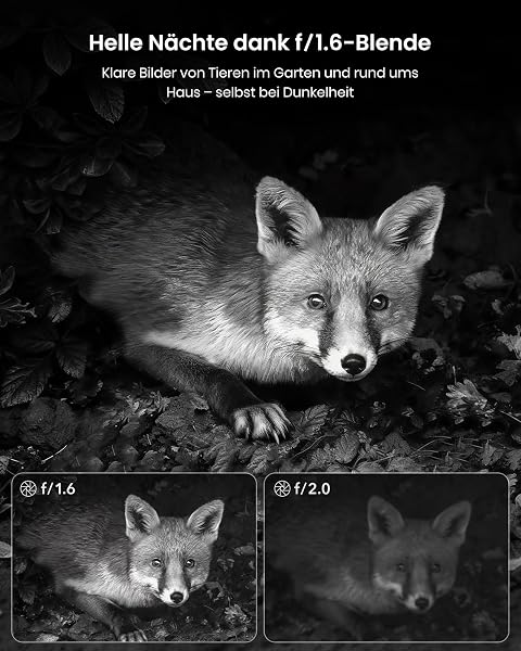 Misstech 4K UHD Solar Wildkamera mit Handyübertragung App, 64MP Solarbetriebene Wildtierkamera mit 0,1s Bewegungsmelder, klare Nachtsicht, 32GB SD Karte, Ohne ABO, IP66 für Garten & Naturbeobachtung - 5