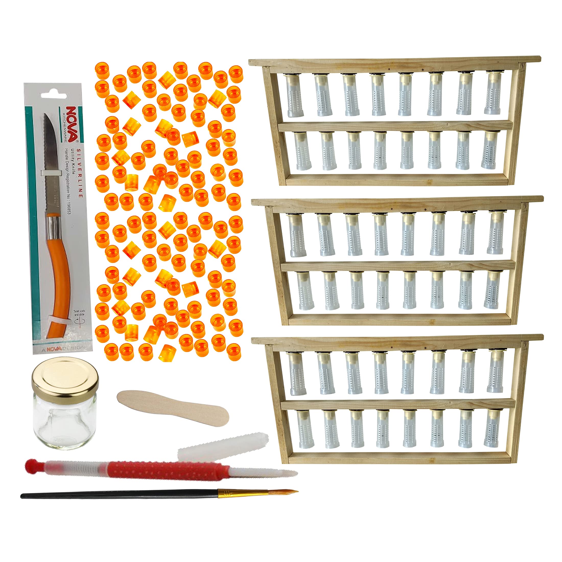 Grafting Frame-3pc with Grafting Needle-1pc, Queen Cell Cup-100pc & Other Accessories (B097MZK5JS) Amazon Price History, Amazon Price Tracker