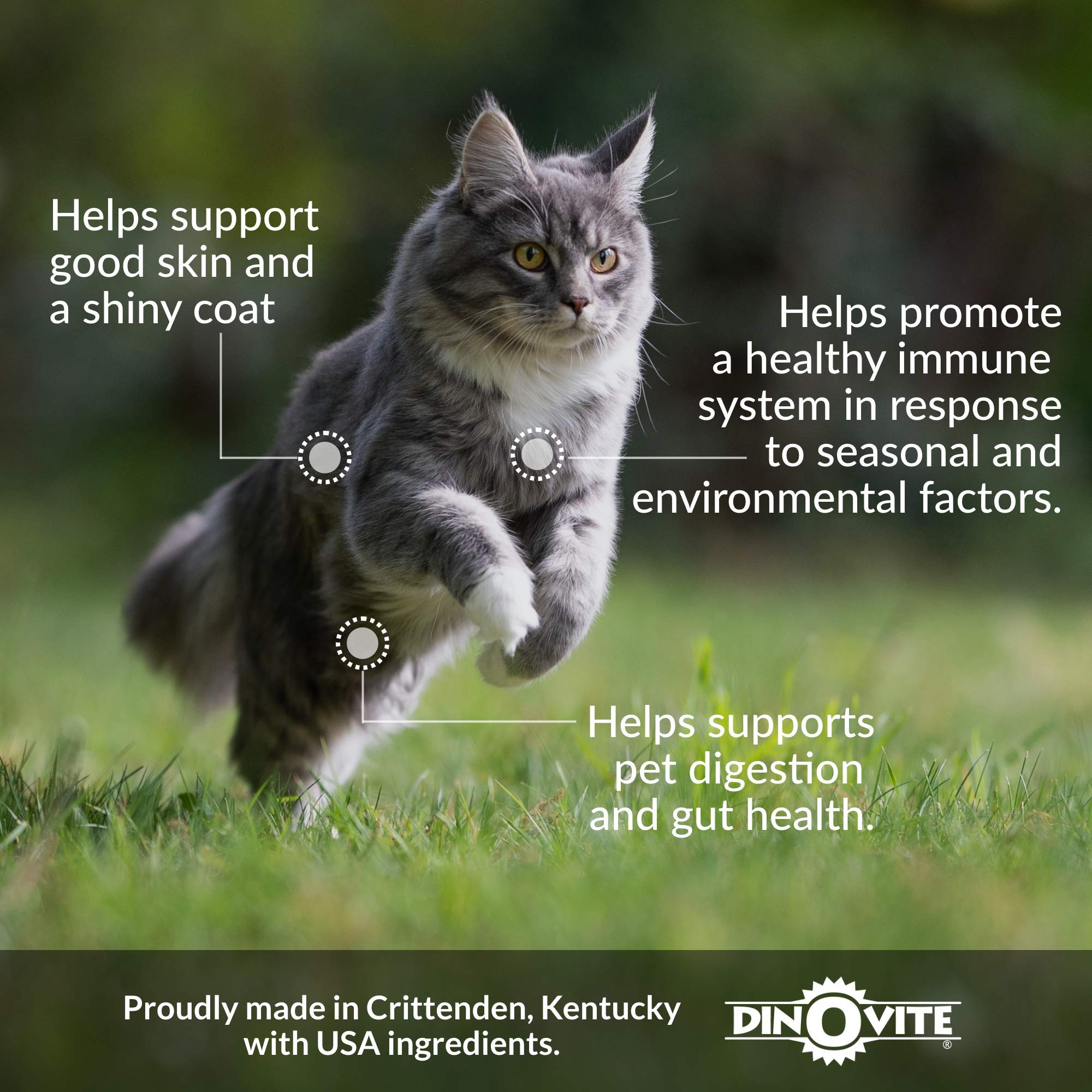 dino bite for cats