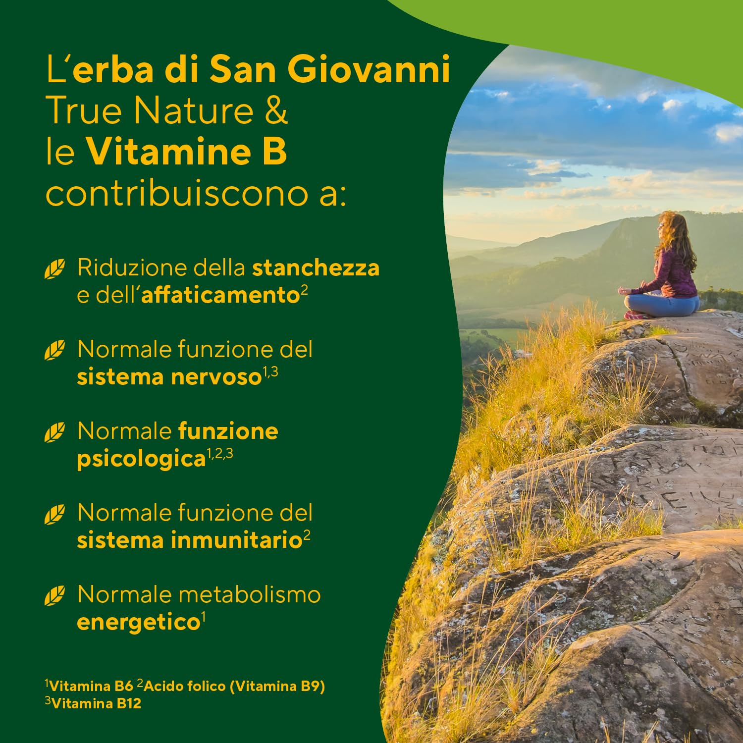 Capsule di iperico ad alto dosaggio - 240 capsule con le vitamine B6, B12 e acido folico - 5000 mg di iperico per capsula (estratto 10:1) - ipericina & iperforina - Prodotto in Germania - TRUE NATURE