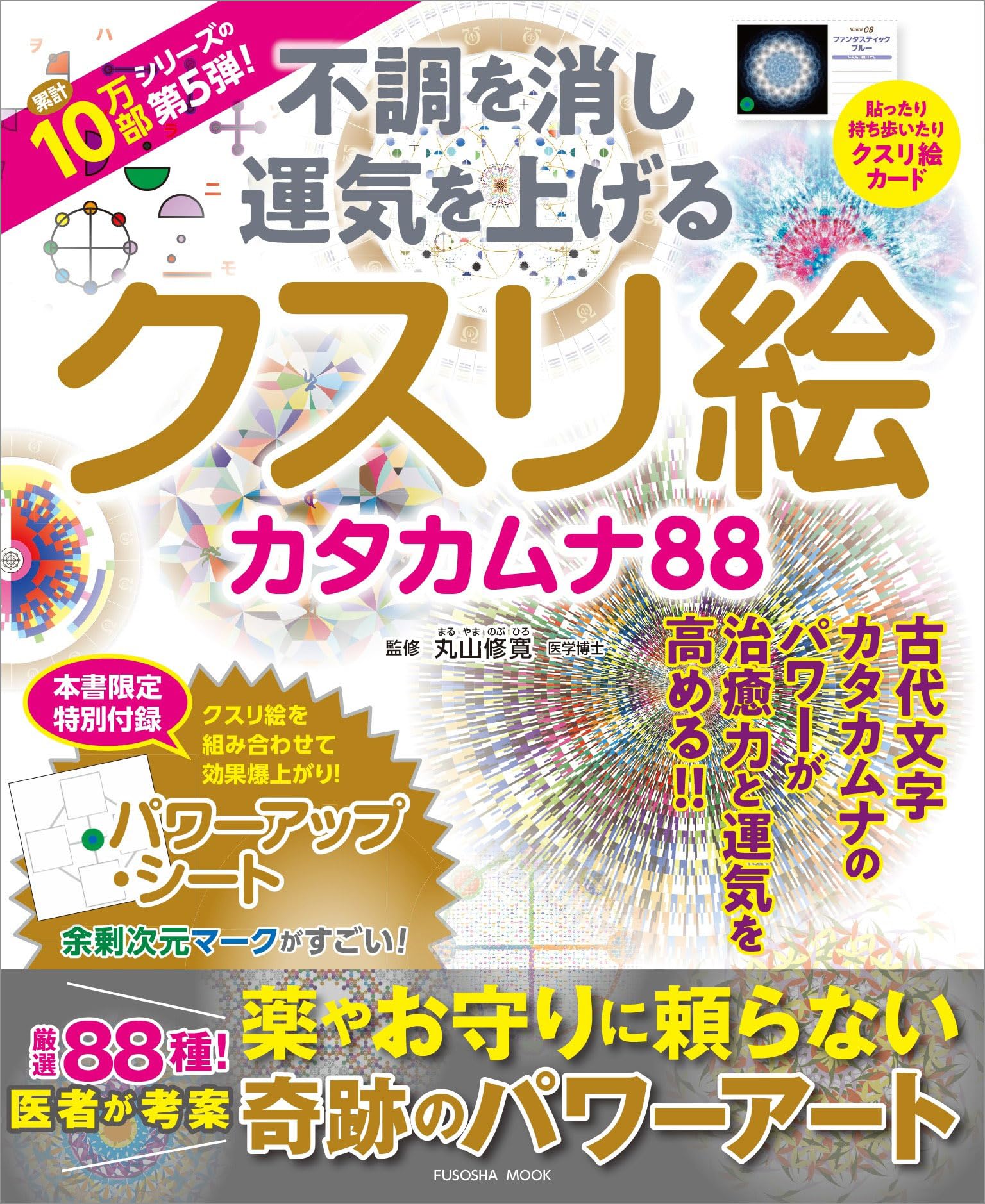 【治療家のためのクスリ絵 セミナーDVD】丸山修寛 手技DVD 整体DVD 丸山修寛先生 治療家のためのクスリ絵セミナーDVD 治療家の