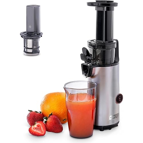 DASH Deluxe Compact Masticating Slow Juicer, Easy to Clean Cold Press Juicer with Brush, Pulp Measuring Cup, Frozen Attachment and Juice Recipe Guide - Graphite