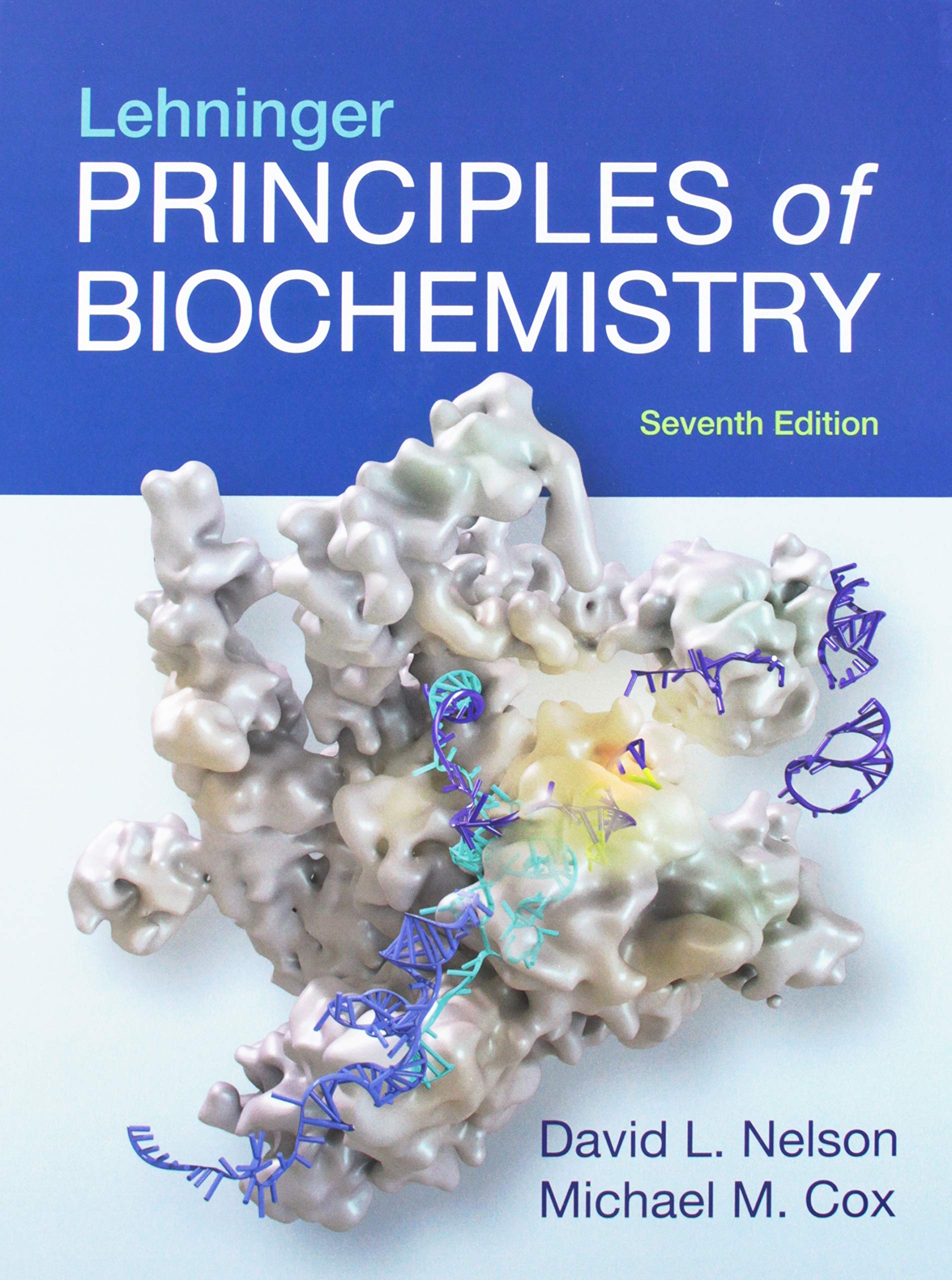 Lehninger Principles of Biochemistry 7e & Study Guide and Solutions Manual for Lehninger Principles of Biochemistry 7e