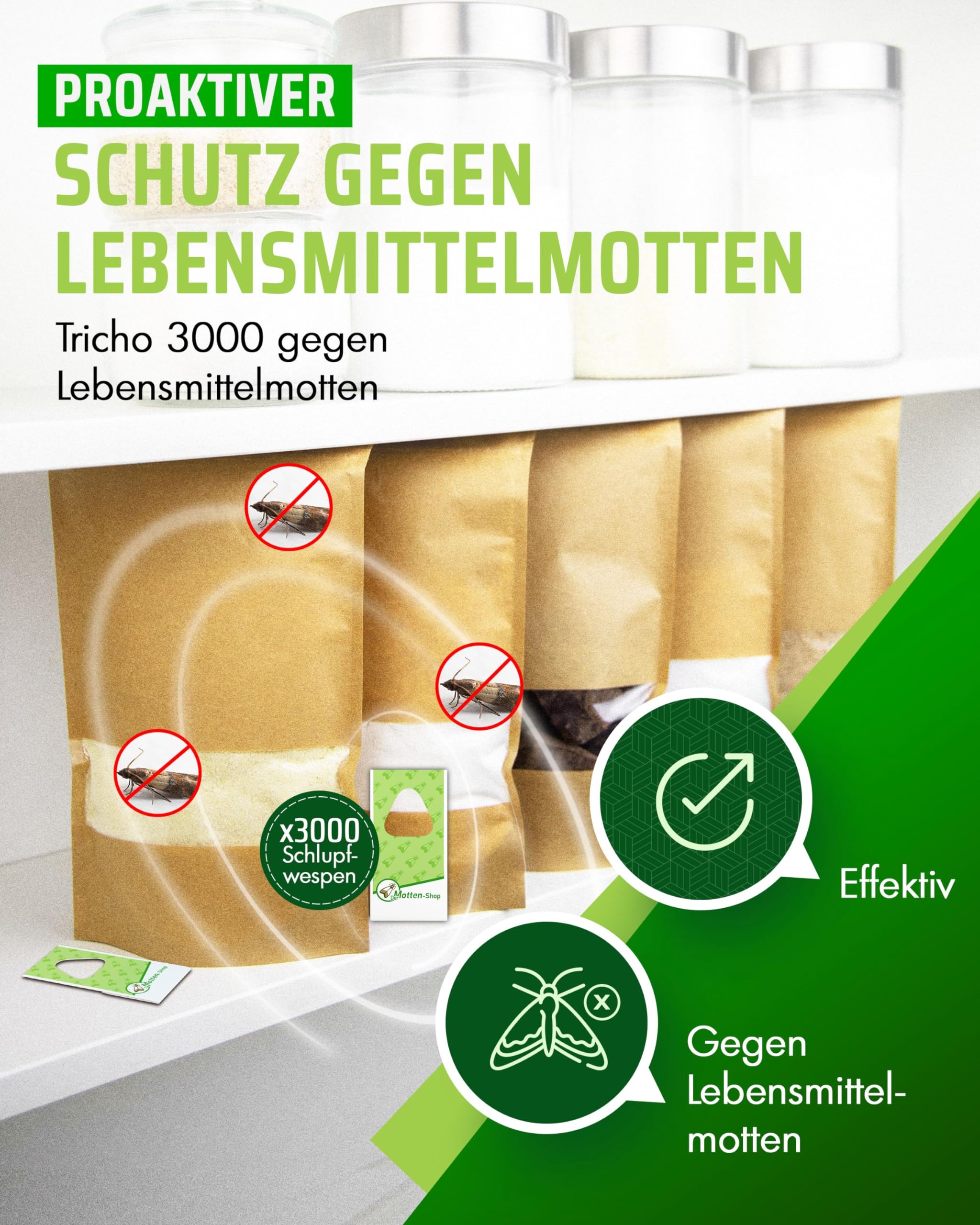 Der Motten-Shop® | Schlupfwespen gegen Lebensmittelmotten | 3 Karten à 3 Lieferungen | biologische & nachhaltige Mottenbekämpfung | die umweltfreundliche und giftfreie Alternative