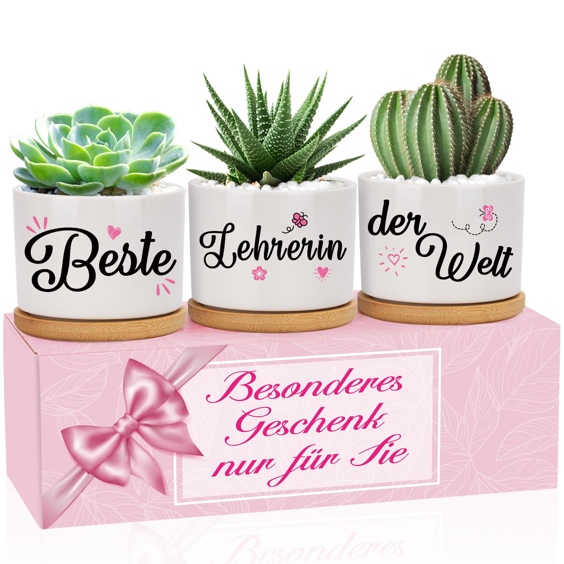 Jingmore 3-teiliges Küstendekor-Set – Keramik-Blumentöpfe Mit Bambus-Tablett, Für Sukkulenten, Deko